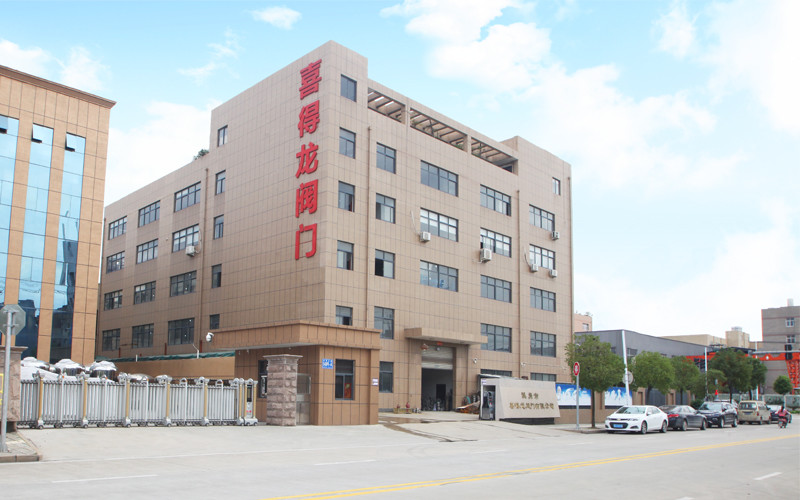 চীন Wenzhou Xidelong Valve Co. LTD সংস্থা প্রোফাইল