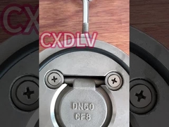 শিল্পসম্মত ওয়েফার একক-ডিস্ক সুইং চেক ভালভ