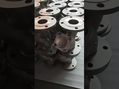 স্টেইনলেস স্টীল ফ্ল্যাঞ্জ Y স্ট্রেনার ভালভ জন্য তেল জল গ্যাস শক্তি সঞ্চয়