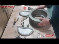 ওয়েফার ডুয়াল প্লেট চেক ভালভ একত্রিত করা