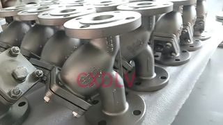 DN40 স্টেইনলেস স্টীল Y-স্ট্রেনার ANSI150LB RF সংযোগ