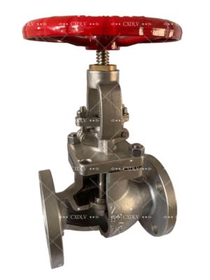 তরল নিয়ন্ত্রণ এবং সহজ অপারেশনের জন্য 150LB স্টেইনলেস স্টিল CF8M ফ্ল্যাঞ্জ প্রান্ত সহ রাইজিং স্টেম হ্যান্ডহুইল গেট ভালভ